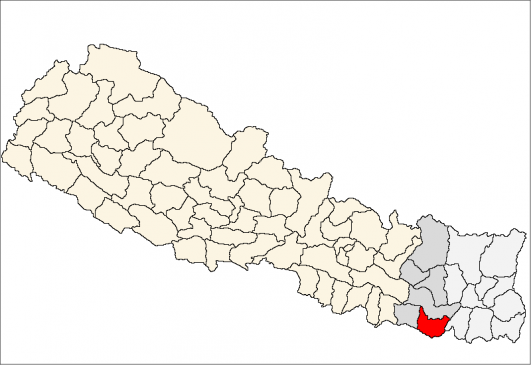 विद्युत् चोरीको आरोपमा वडा अध्यक्ष पक्राउ