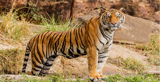 बाँके र बर्दियाका सम्पदा ‘पर्यटक पर्खिदै’