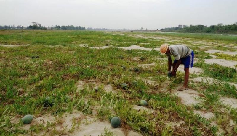 बगरमा गरिएको तरकारीखेतीबाट मनग्य आम्दानी