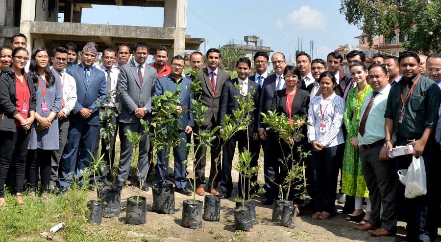 एनआईसी एसियाको ‘एक कर्मचारी, एक फलफूल बिरुवा’ अभियान सुरु