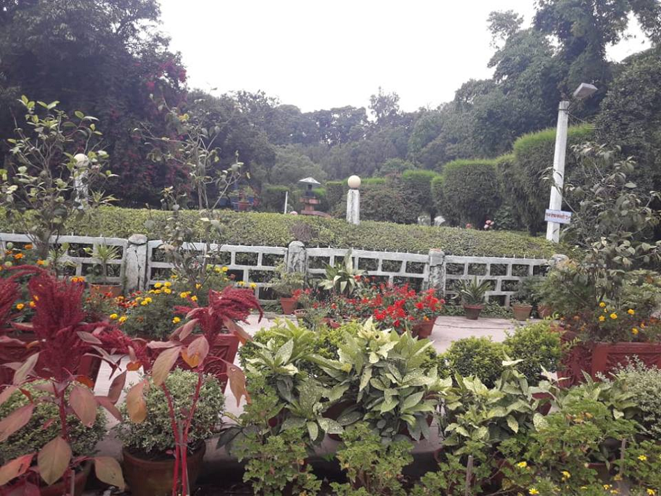 बालाजु उद्यानमा फ्रि वाई फाई