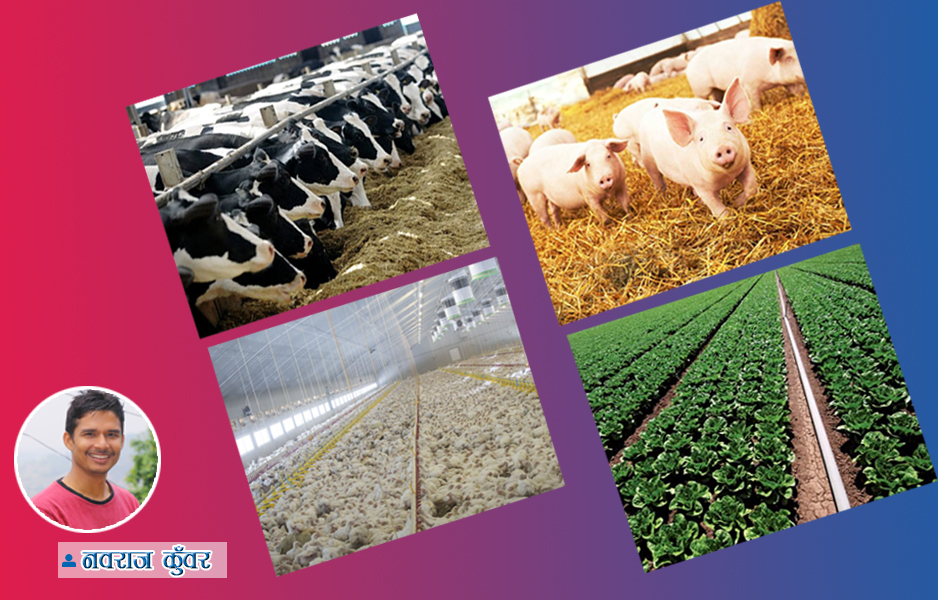 agriculture-newskarobar