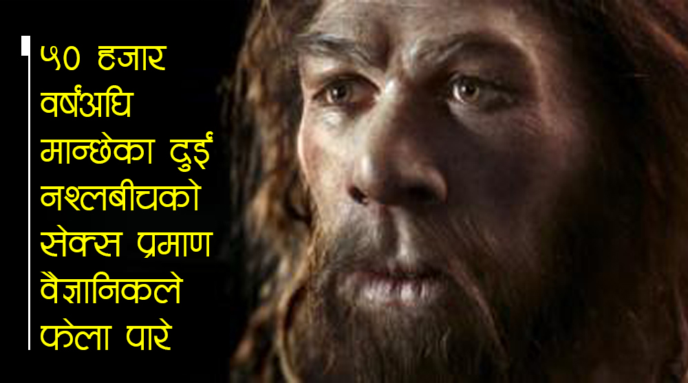 ५० हजार वर्षअघि आदिमानवबीच भएको सेक्स प्रमाण भेटियो