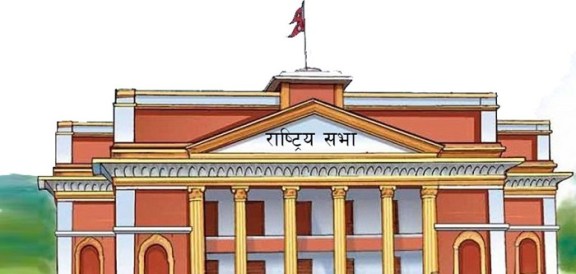 सरकारी आश्वासन समितिकाे बैठक : निर्देशिकामाथि दफावार छलफल सुरु