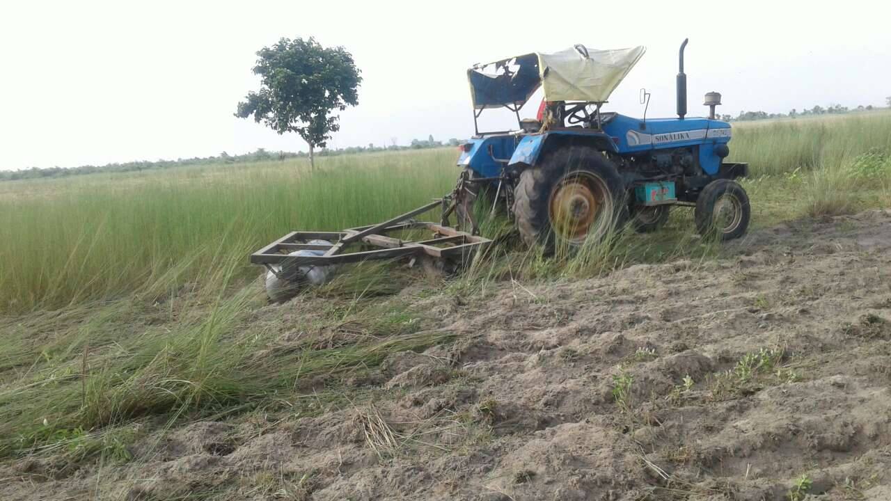 बेलकाको ३५ बिघा जमिनमा सामूहिक खेती