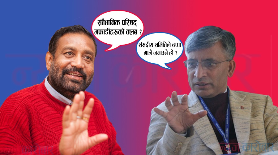 bimallendra nidhi & bishni rimal -newskarobar