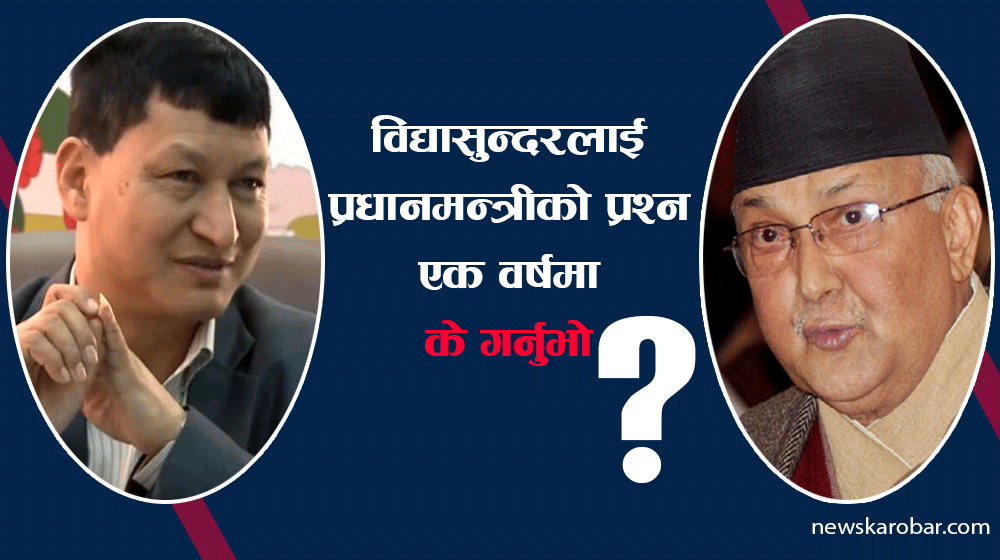 विद्यासुन्दरलार्इ प्रधानमन्त्रीको प्रश्न– एक वर्षमा के–के गर्नुभो ?