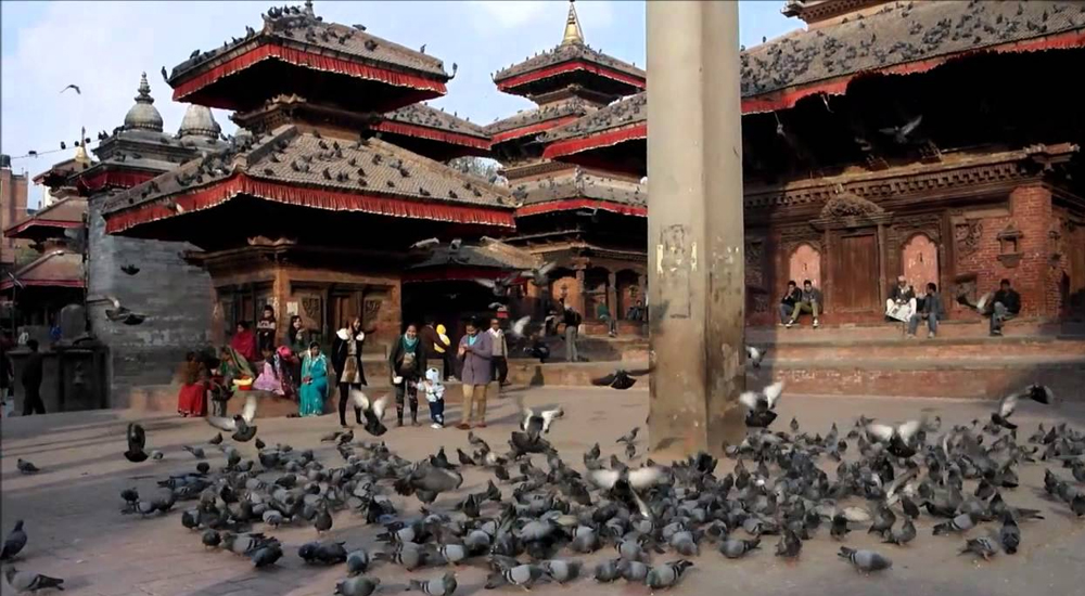 संविधान दिवसको भोलिपल्ट लोकतन्त्र मेला