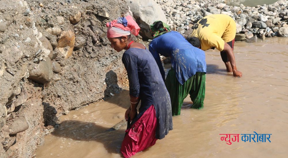 महाकालीको बालुवा निकाल्दै गुजारा चलाउँदै