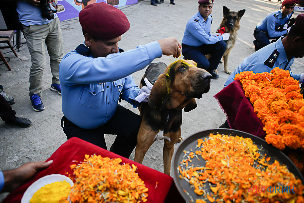 kukur tihar police newskarobar (8)