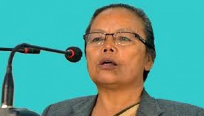 नेपालमा लगानी भित्र्याउन महिलामन्त्री थापाको प्रवासीलाई आग्रह