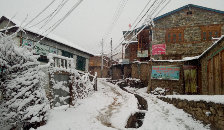 हुम्लामा सोमबार बिहानैदेखि लगातार हिमपात, किसान खुशी