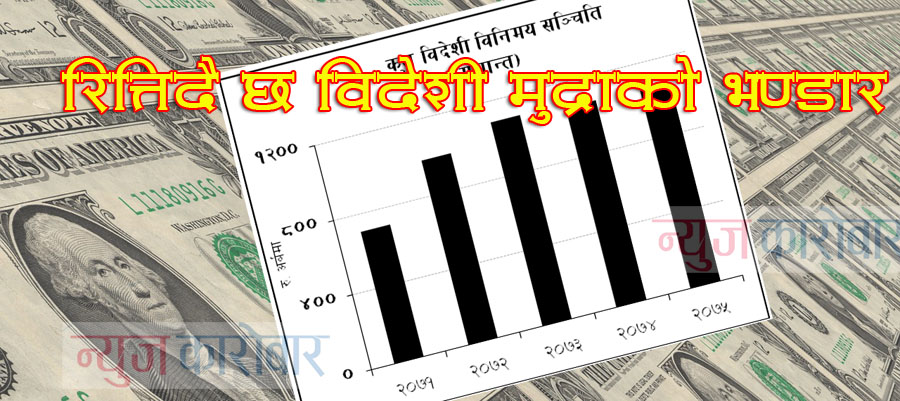 Forex reserve crisis_NewsKarobar