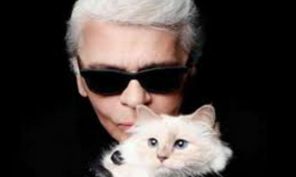 chaupet_cat