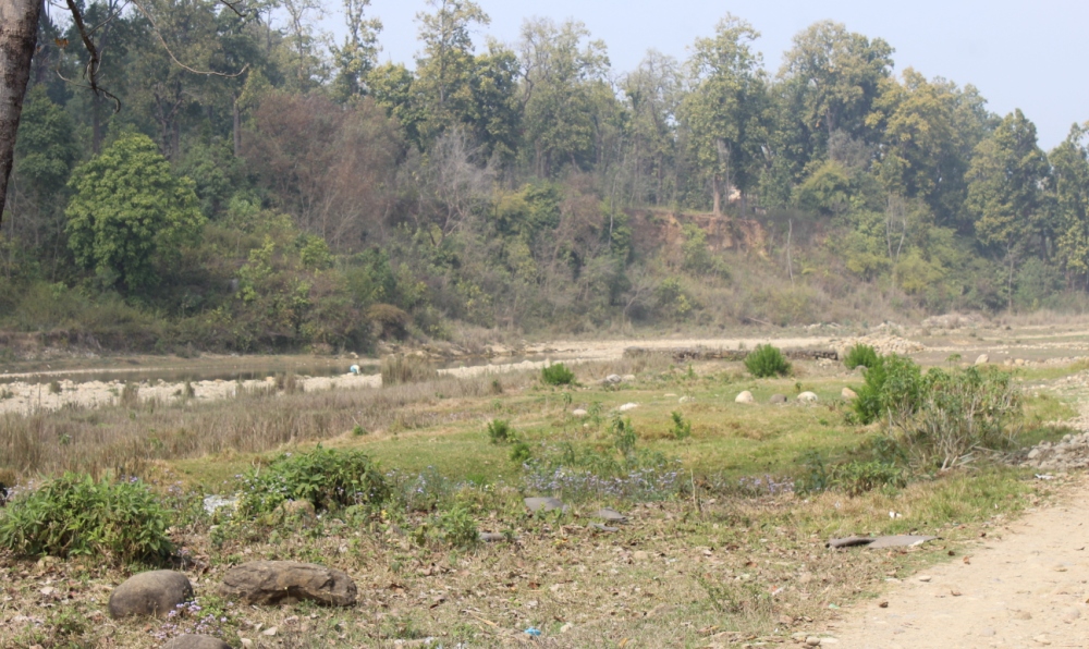 Namuna basti sainamiana (3)