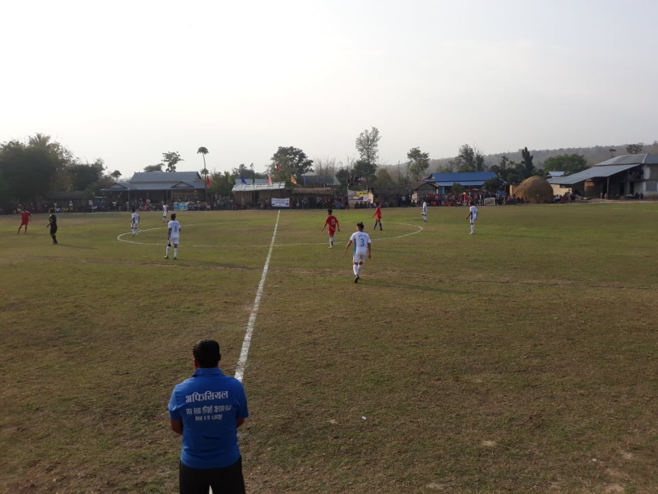 belaka hariyali gold cup