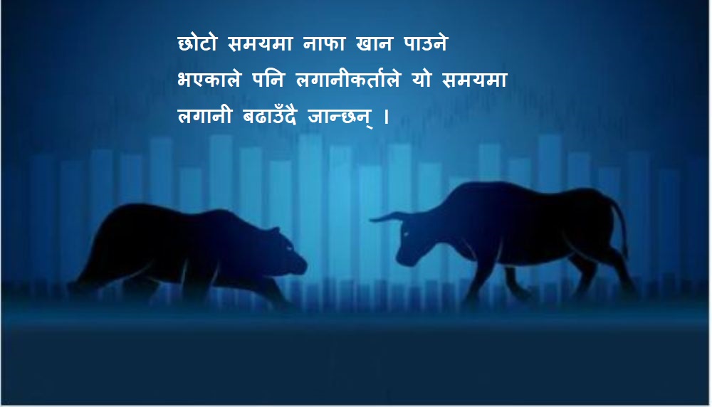 bull-bear-newskarobar
