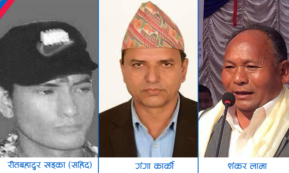 pakrau-purji-newskarobar