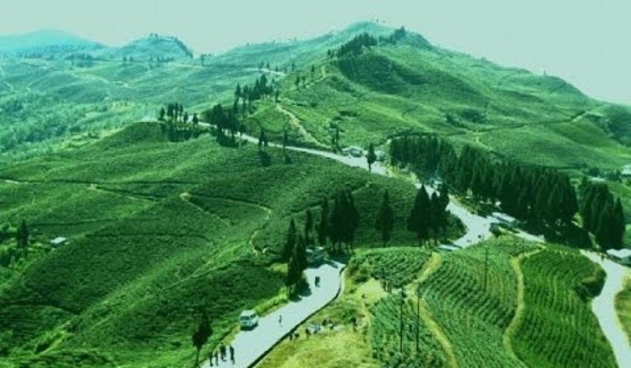 chiya-ilam-newskarobar