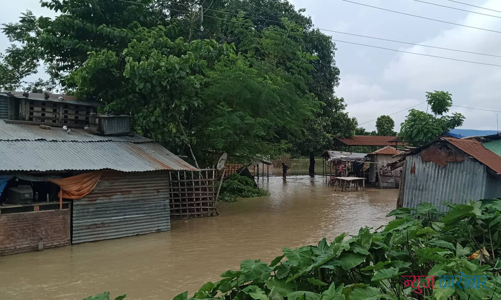 biratnagar-flood-newskarobar (5)