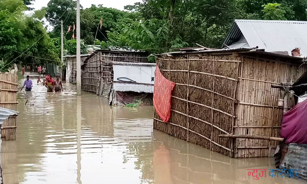 bistapit-newskarobar