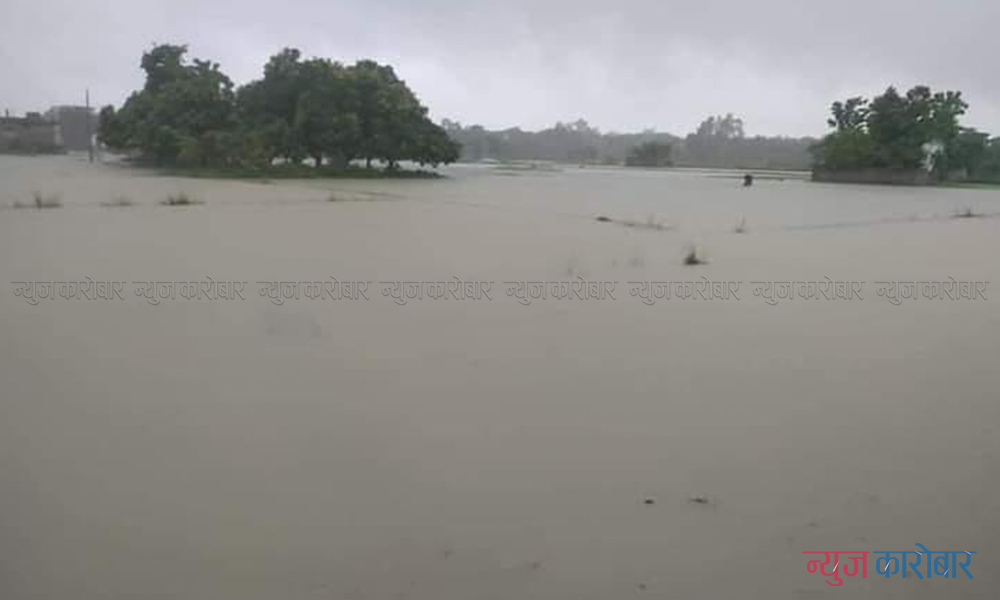 janakpur-flood-kamala-nadi-newskarobar