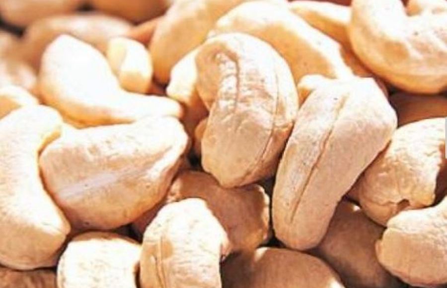 काजुको आयात ६४ प्रतिशतले घट्यो
