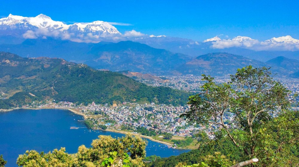 विश्वका पशु वैज्ञानिकहरुको भेला पोखरामा