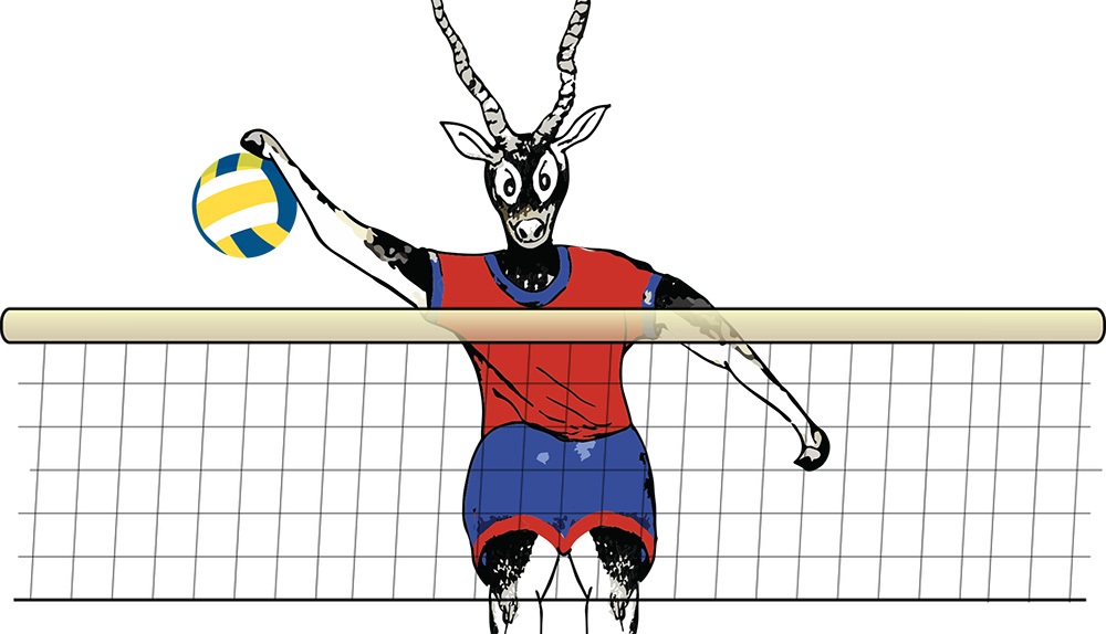 साग भलिबल