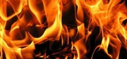 गोठमा आगलागी २५ बाख्रा जले