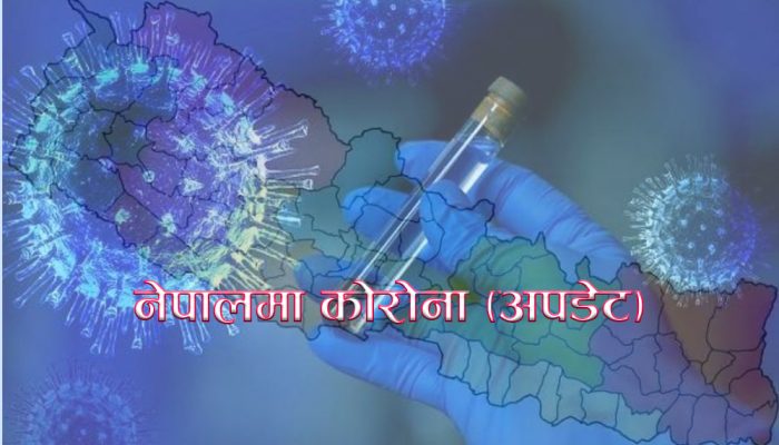 थप १७०३ जनामा कोरोना संक्रमण पुष्टि