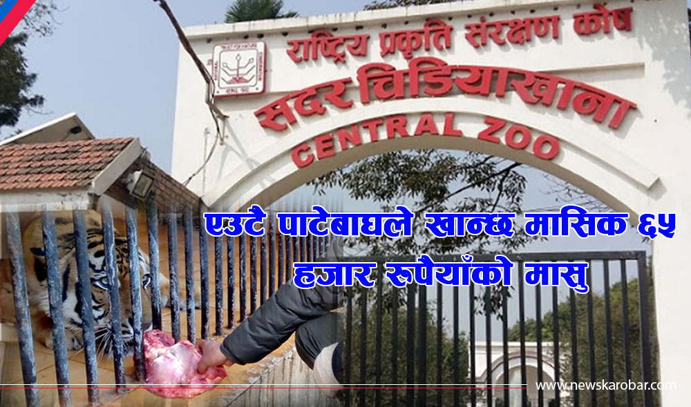 चिडियाखानामा लकडाउनको असर : अब दुई महिनामात्रै पुग्छ आहारा