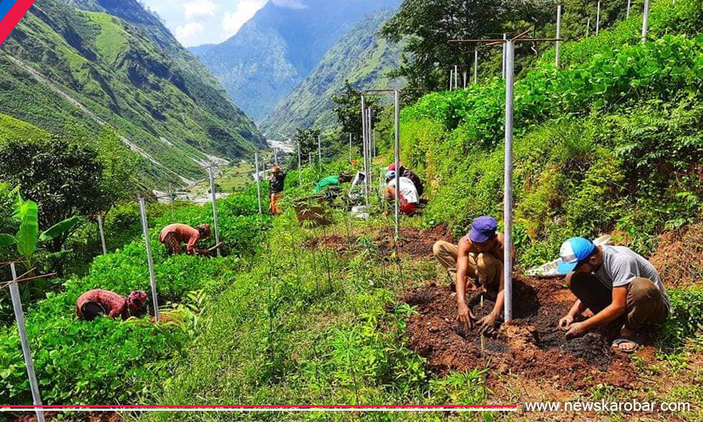 Farm_NewsKarobar