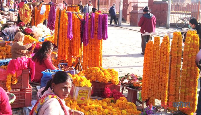 तिहारै आयो लौ झिलिमिली… (फोटो फिचर)