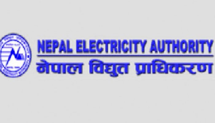 विद्युत चोरीमा संलग्न ४२ जनालाई कारवाही