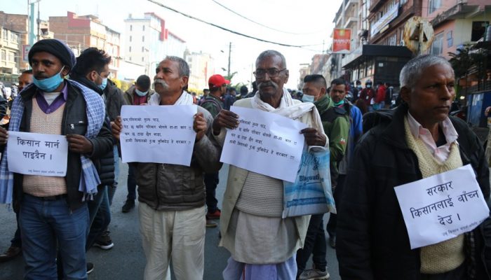 अझै पाएनन् उखु किसानले बाँकी रकम