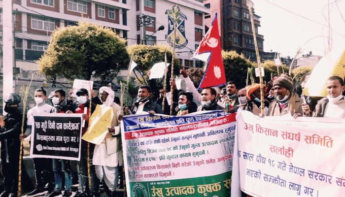 श्रीराम सुगर मिल्सले भन्यो- आजैदेखि पैसा दिन्छौँ, किसान भन्छन्- खातामा नआएसम्म आन्दोलन रोकिँदैन