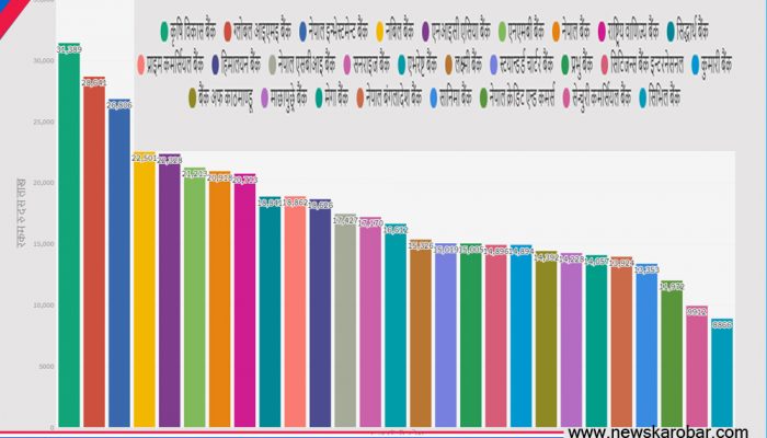 कृषि विकास बैंक सबैभन्दा ठूलो, निजीमा ग्लोबल आइएमई